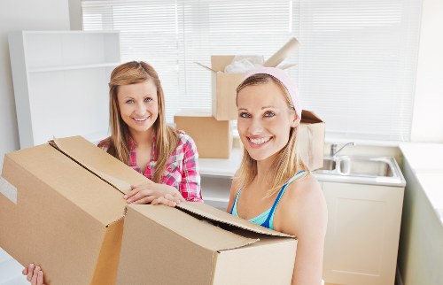 Service issue assessment in a moving and transport complaints process